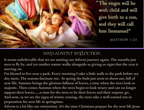 An Advent reflection from our National Spiritual Advisor- Sr Maria Robb