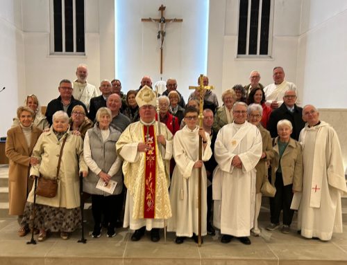 Renewed of Vincentian Promise