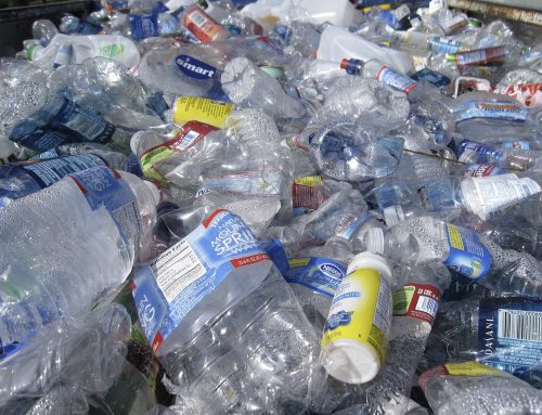 Big Plastic Count- An idea for Lent?