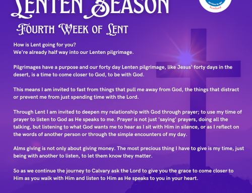 Fourth Week of Lent – Sr Maria Reflects